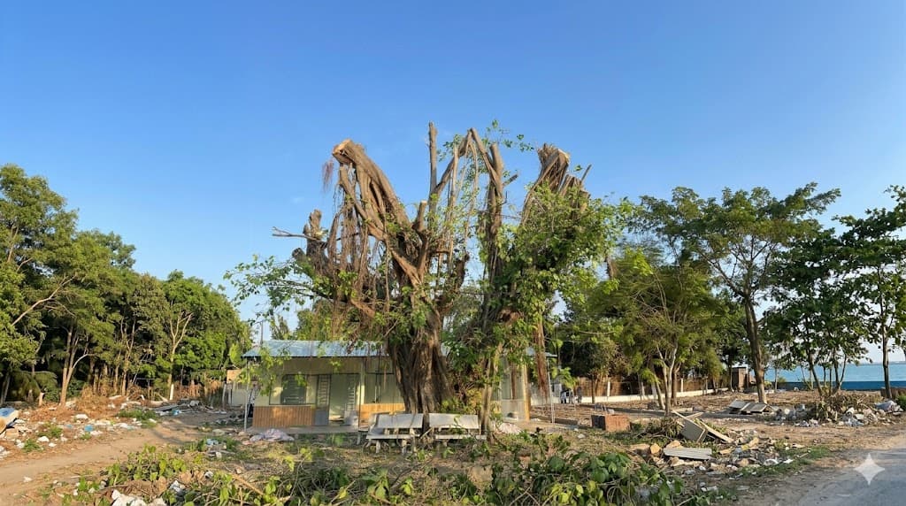 Dich vu cay xanh TP.HCM